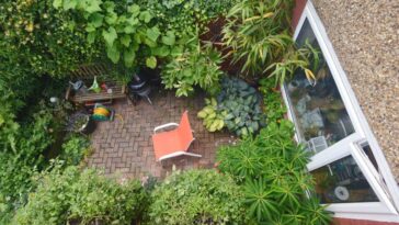 A small garden with a chair