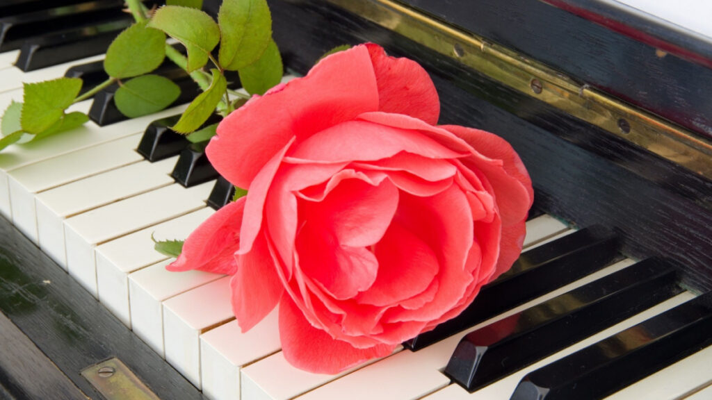 The last (ever) waltz finding your favourite funeral songs