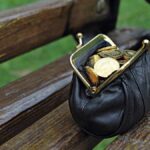 Coin purse on a bench