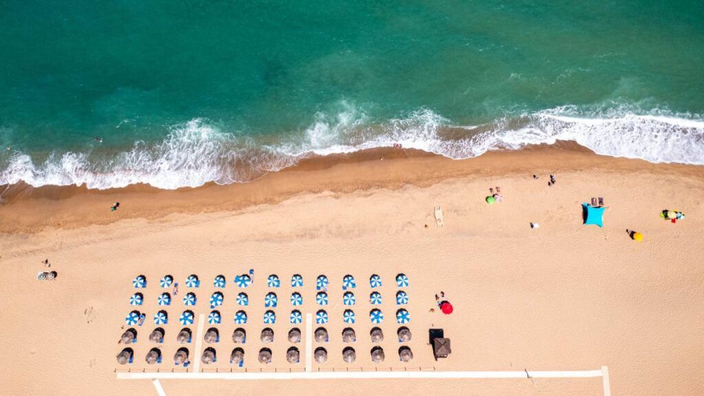 Beach umbrellas lined up next to the ocean