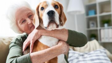 pets in aged care are important