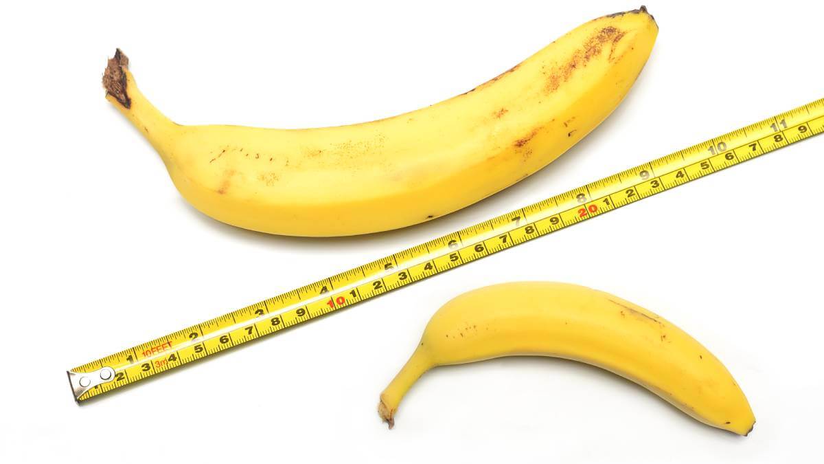 Two different sized bananas