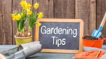 Garden saving tips