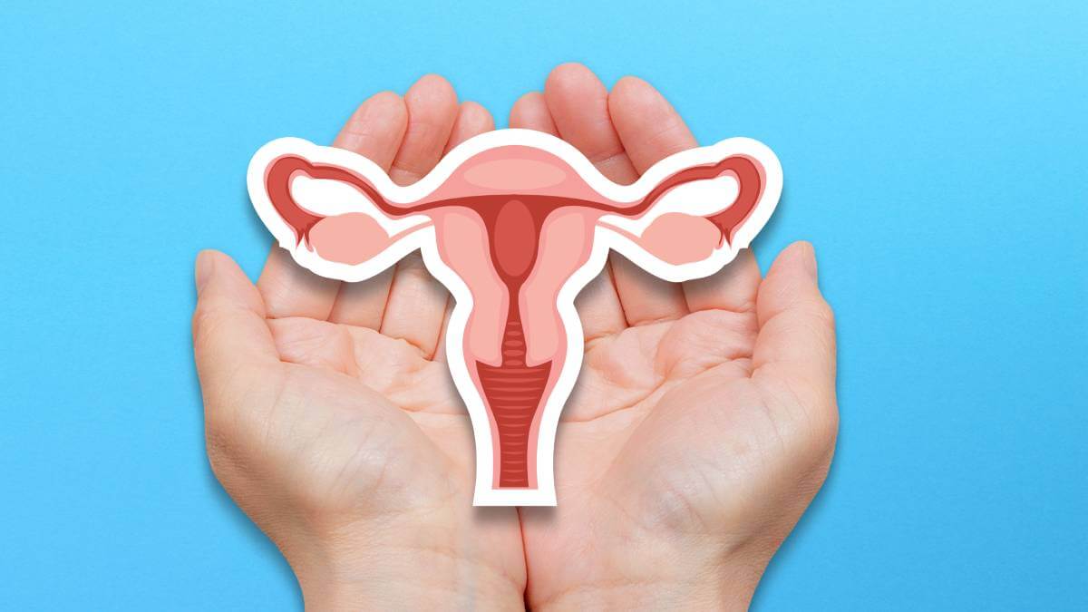 Picture of a uterus
