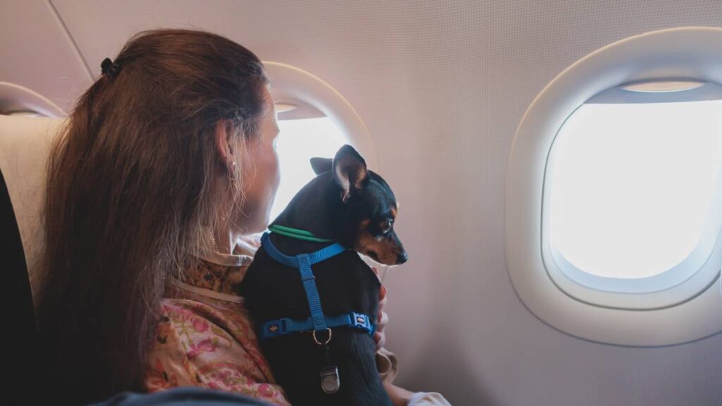 Woman travelling with her pet