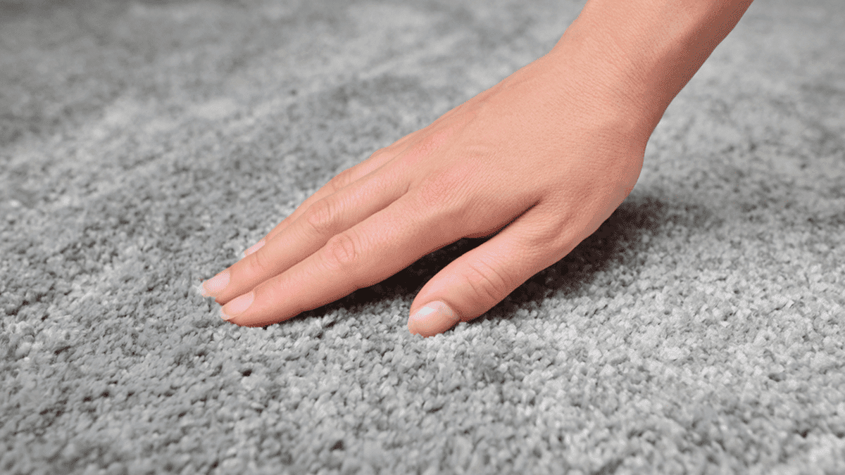 How to fix a matted carpet