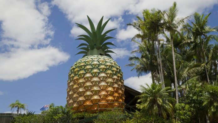 Australia's big pineapple