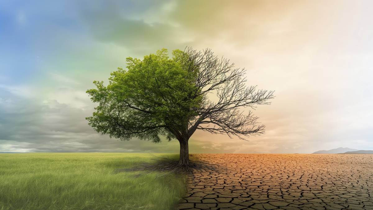 Global warming of more than 3°C this century may wipe 40% off the world ...