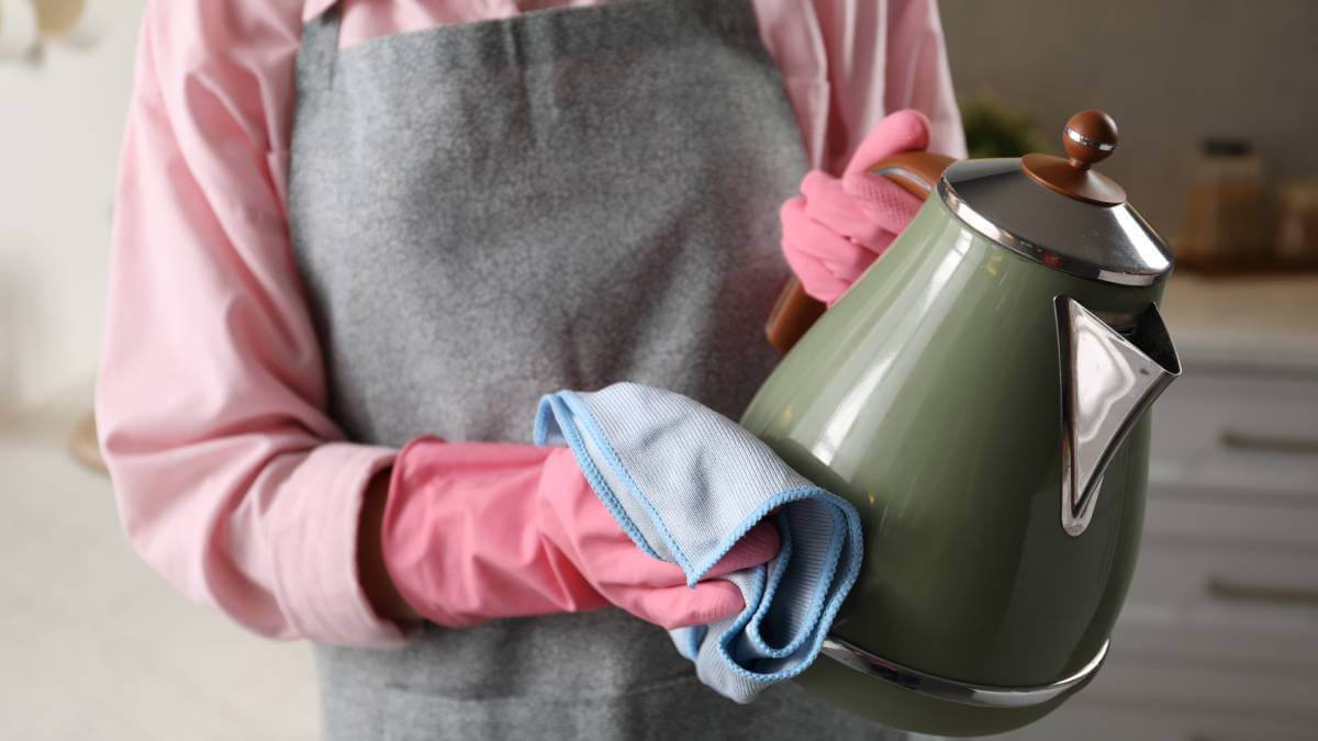 What’s lurking in your kettle if you don’t wash it? YourLifeChoices