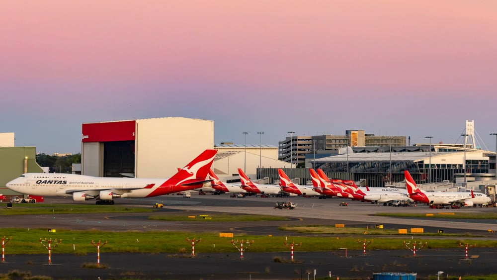 Disability advocate exposes airline blunders damaging mobility aids on