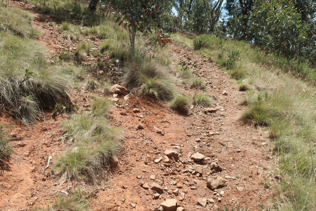 Brumby Rocks Take action: See the shocking brumby damage in Australia’s treasured ...