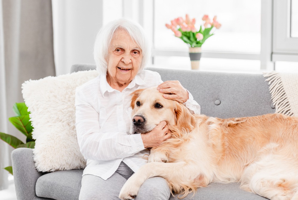 An older adult relaxing at home with a golden retriever resting across her lap