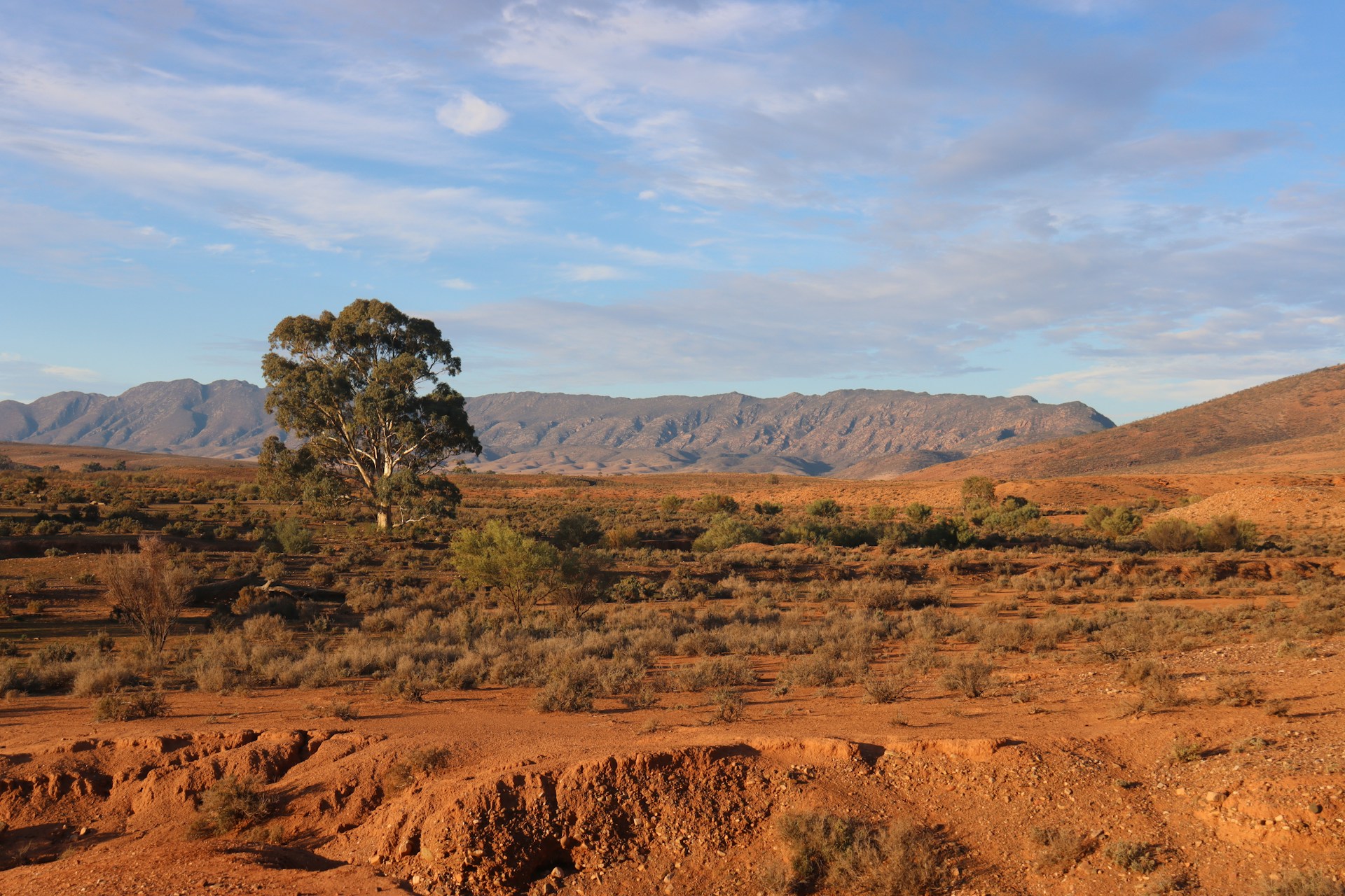 An entire outback town could be yours for less than a Brisbane unit ...