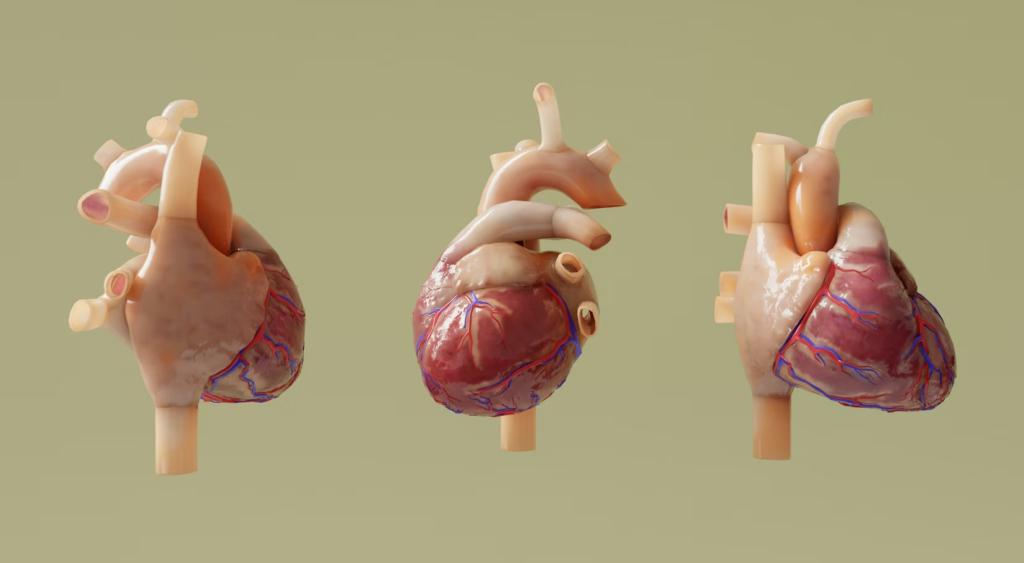 Australian scientists are growing heart patches that could save