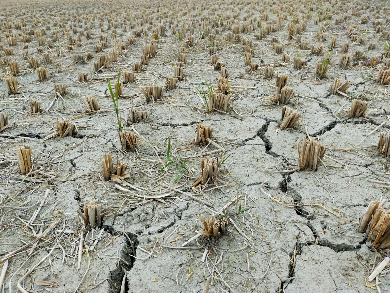 Scientists warn of ‘extraordinary’ weather ahead: Here’s what it means ...