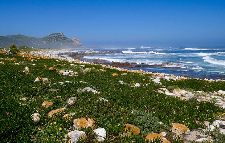 secluded beach at cape point nature reserve
