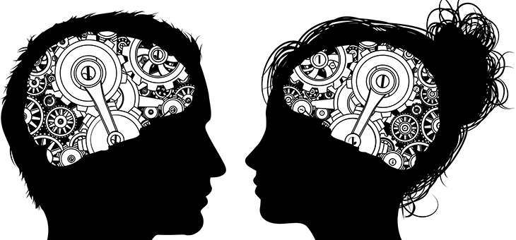 Are there such things as male and female brains?