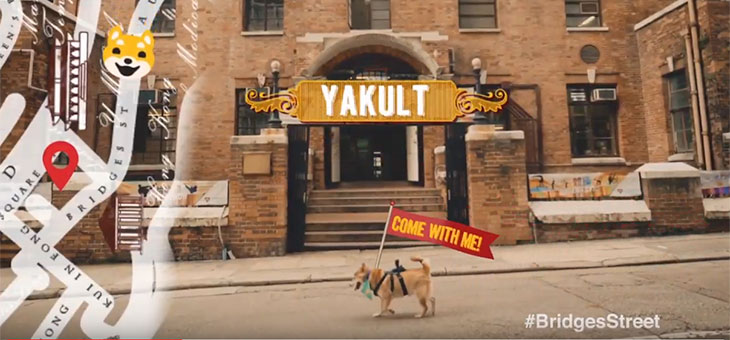 HKTB teams up with cute canines to promote Old Town Central