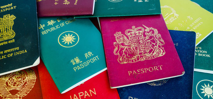 Why is your passport that colour?