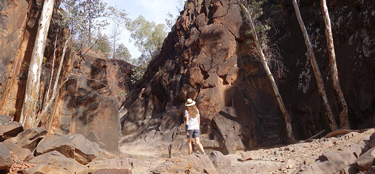 The Outback made easy: Wilpena Pound and the Flinders Ranges
