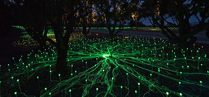Bruce Munro's Avenue of Honour is truly beautiful