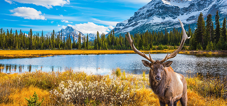 21-day Grand Rockies tour with Rocky Mountaineer, Alaska cruise and flights