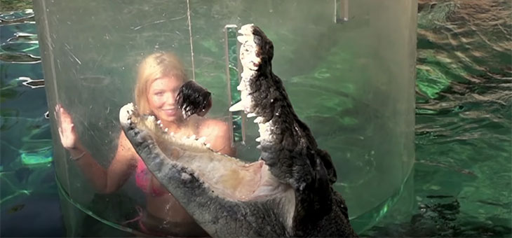 Travel Vision: Jumping crocodiles in slow motion
