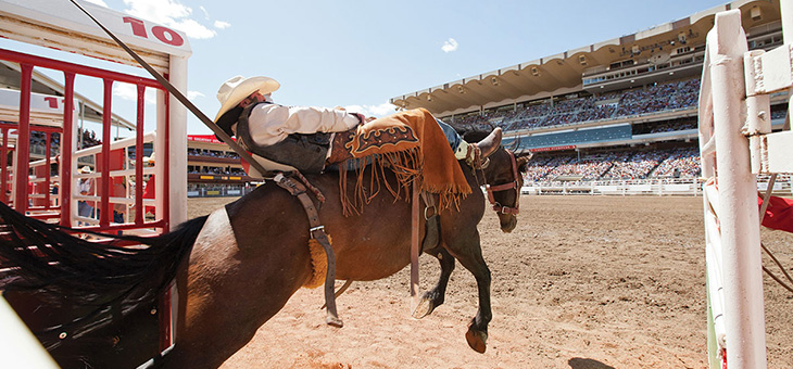17-day Calgary Stampede with Rockies tour, Alaska Cruise and flights