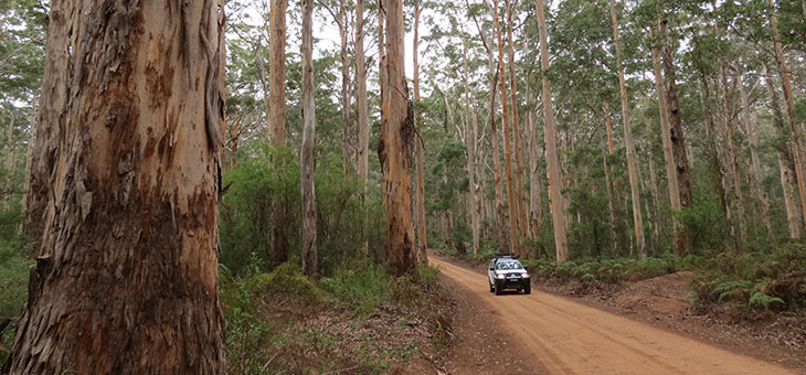 Lee Atkinson shares her best Western Australian road trips