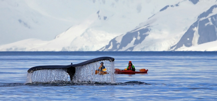 Travel SOS: When is the best time to travel to Antarctica?