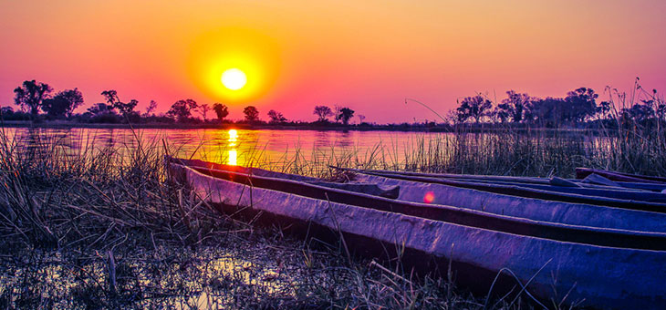 Why you should visit Botswana in the secret green season