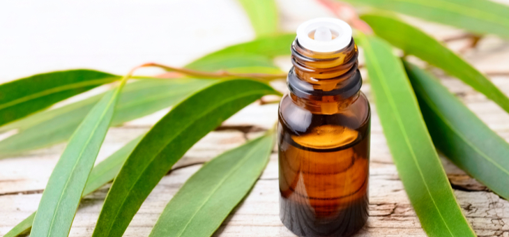 Unexpected uses for eucalyptus oil