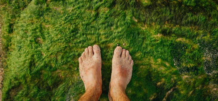 Explaining earthing and how it can enrich your life