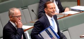 Abbott safe as PM, for now