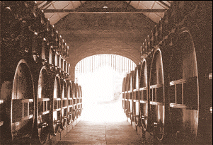 Adelaide Wineries