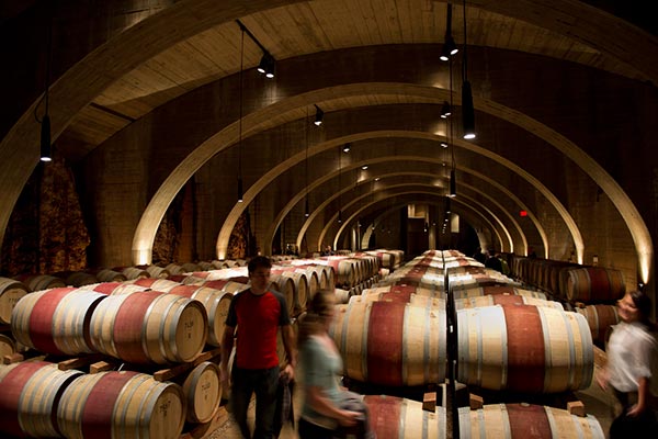inside a cellar at an okanagan vineyard