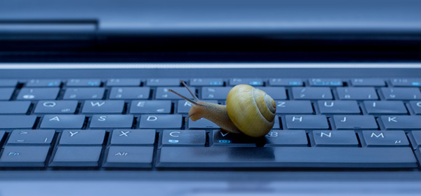 keyboard snail