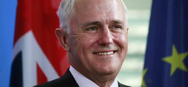 Federal Election: Malcolm Turnbull considering election options