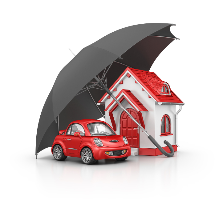 What can be insured?